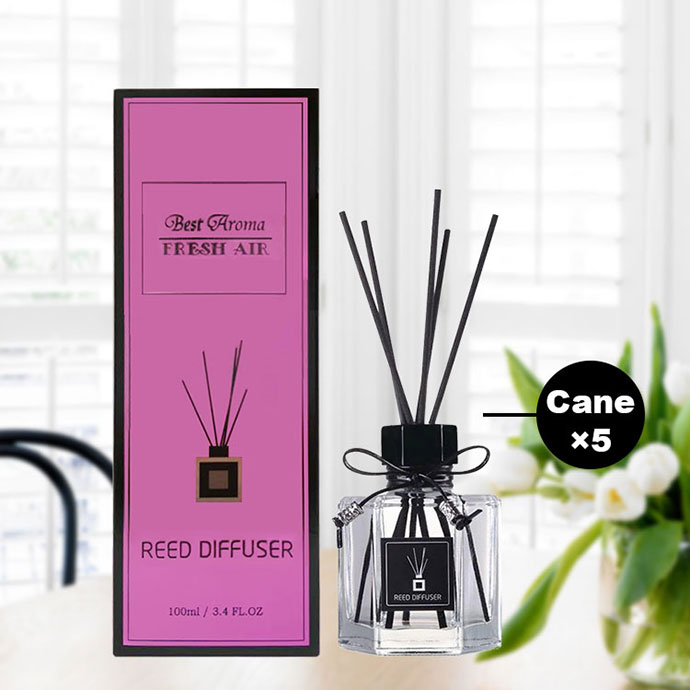 OEM Aroma Reed Diffuser Affordable Air Freshener Reed Diffuser