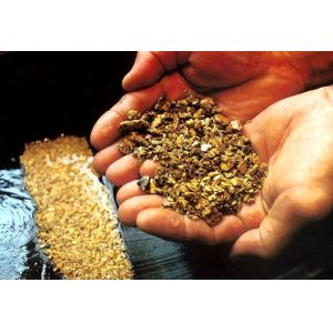 Y&X Beijing Technology Co., Ltd.