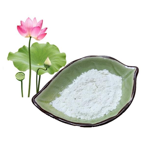 Lotus Extract Natural Raw Material 98% Nuciferine Heatstroke Treatment