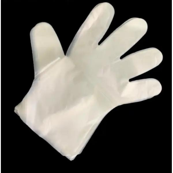 Disposable Biodegradable Compostable Plastic Gloves Customized Color for Kitchen