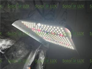 China V2 Quantum Board 100w Full Spectrum Ufo Led Grow Light on sale