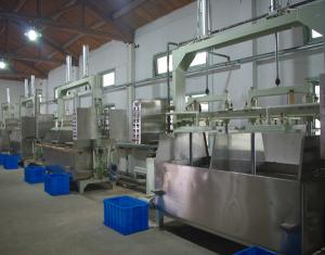 Wholesale Small  Pulp Semi Automatic Paper Dish Making Machine  80KW Reciprocating from china suppliers