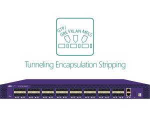 NPB Network Packet Sniffer GTP GRE PPTP L2TP PPPOE Tunneling Protocol Label Header Stripping