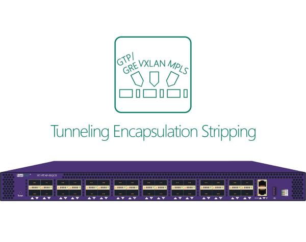 Quality NPB Network Packet Sniffer GTP GRE PPTP L2TP PPPOE Tunneling Protocol Label Header Stripping for sale