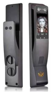 China IC Card Facial Detection Smart Lock Face , Fingerprint , Password , Swiping Card , Key on sale