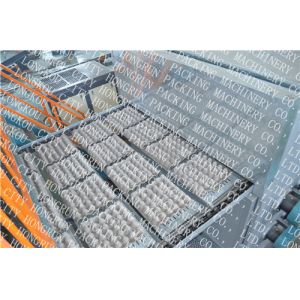 Wholesale PLC Control Automatic Egg Carton Making Machine With Drying Function from china suppliers