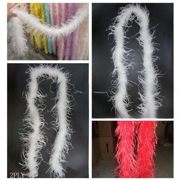 Dyed Marabou And Coque Feather Boa Highly Durable 2 Yards Length