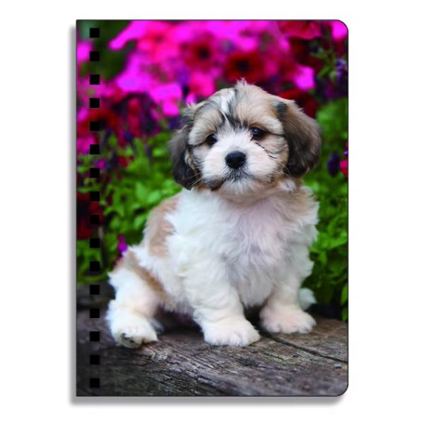 School Stationery 3D Lenticular Advertising Custom Spiral Notebooks for Children Promotion Gift