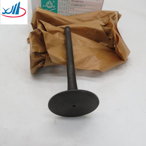 cars and trucks vehicle good performance Air intake valve VG1560051001/4