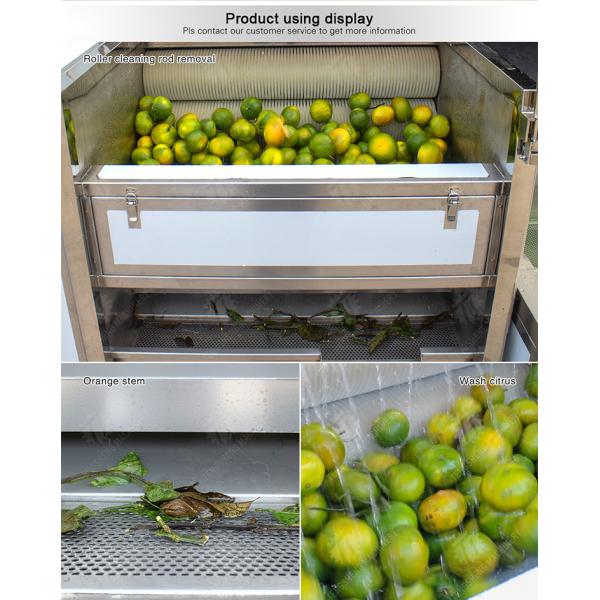 Citrus cleaning production line Fruit Orange Wash Washer Washing Cleaning Dryer processing production Machine