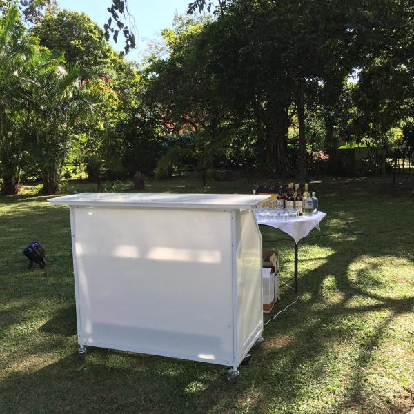 Quality Wheeled Portable Bar Counter , Lightweight Folding Bar Counter On Grass for sale
