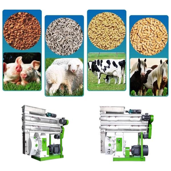 CE Animal Feed Making Machine SKF Bearing Animal Feed Processing Equipment