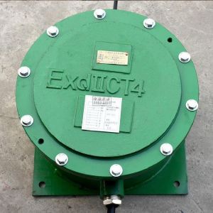 explosion proof industrial remote controller explosion proof remote controller