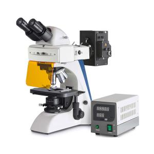 Wholesale Laboratory Fluorescence Life Science Microscope / Binocular Biological Microscope from china suppliers