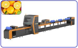 Wholesale Auto Sorting Sugar Orange Grading Machine 18.65KW 10 T/H 4 Channel Intelligent from china suppliers