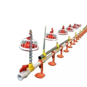 Wholesale Galvanized Pipe Automatic Chicken Feeder System 3m Pipe length from china suppliers