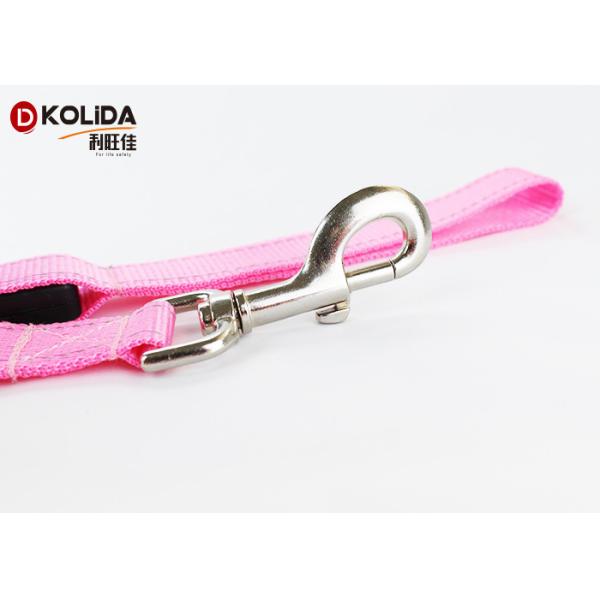 LED Pet Accessories Nylon Solid Safety Glow Dog Leash With Flashlight