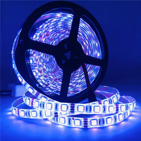 5050SMD IP68 Cool White Led Tape 5000mm Adhesive Back Led Strip Lights