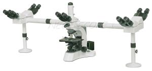 Wholesale Binocular Multi Viewing Microscope EW10×/ 20 With Halogen Lamp from china suppliers