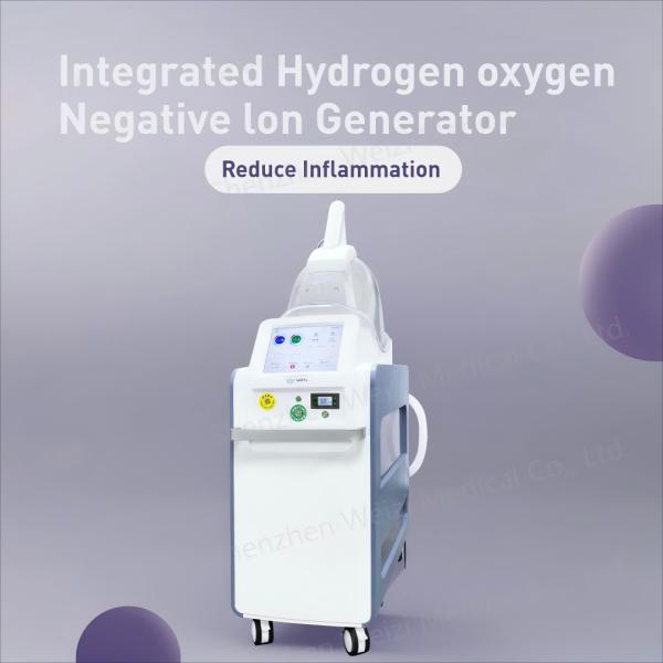 Quality 220V Hydrogen Oxygen Negative Ion Generator Reduce Fatigue WEIZI for sale