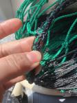 24 M Chicken Net Fence Kit With Gate Double Pointed Posts in Green with