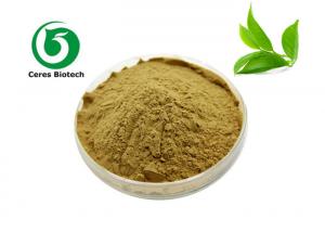 Wholesale Anti Oxidation Polyphenols 95% EGCG 45% Green Tea Extract from china suppliers