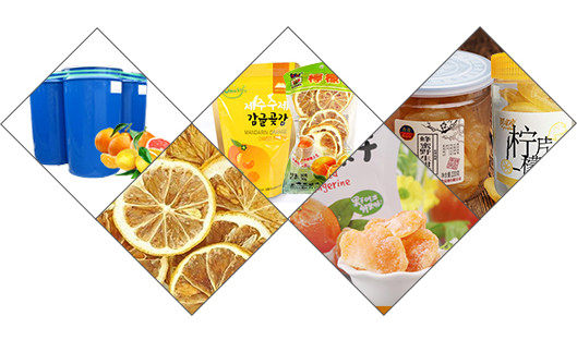 Professional Tangerine Citrus Processing Equipment 5T/H ISO Certificate