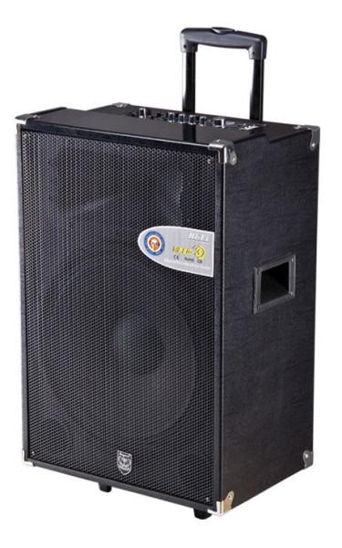 Quality active trolley speaker/portable speaker with usb/sd function for sale