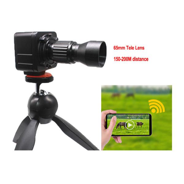 Quality 200M Cctv Camera Hidden Wireless Network IP Cam For Observe Animals for sale