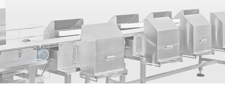 PLC Automatic Weight Sorting Machine Chicken Whole Meat Grading Machine