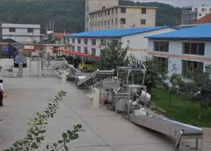 Wholesale Automatic Continuous 36kw 230l Groundnut Frying Machine from china suppliers