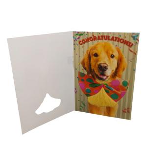 10 Seconds Musical Greeting Cards With Light Sensor And Motion Sensor