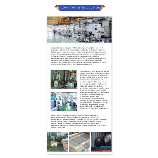 Hydraulic Hose Assembly Hose and Fitting Assembly for Mining Industry