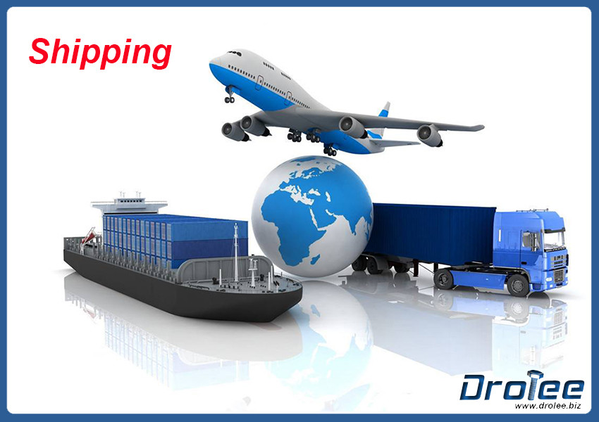 Wholesale When &amp; how to ship after order placed? from china suppliers