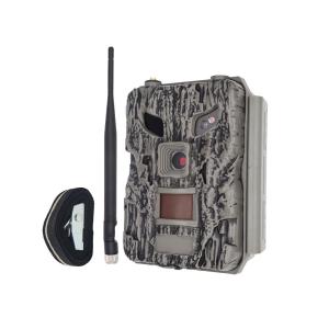 Wholesale 24MP Cloud Wireless Rear Time Image Game Camera 4G Cellular Game Camera from china suppliers