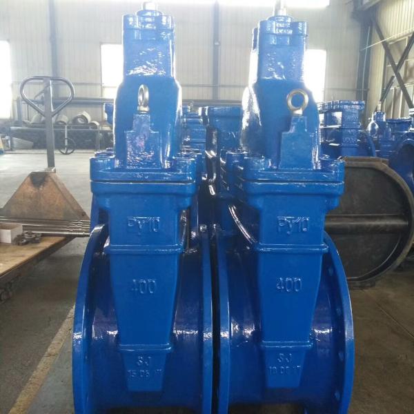 DIN F4 F5 Resilient Seated non-rising Stem Gate Valve pn16