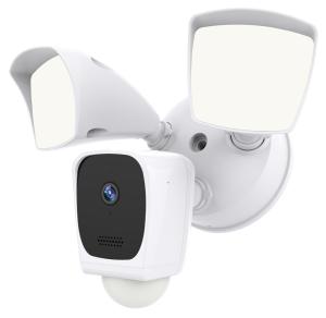 China Smart Floodlight Camera(SC-RIPC-3001) on sale