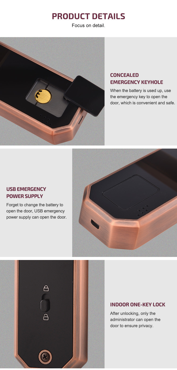 Keyless Entry Smart Wifi Door Lock Keypad APP Control IC Card Wifi Connected Door Lock