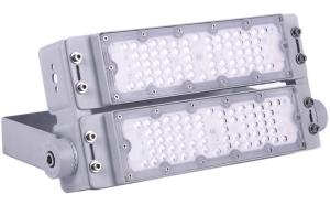 China Die Casting Alumium Led Tunnel Lamp 130lm/w Daylight Silver 100W 5 Years Warranty on sale
