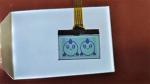 High Quality Positive Digit FSTN LCD Screen Custom Transmissive Display TN Lcd