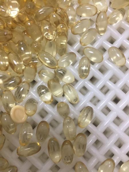 Quality TM50 Automatic Soft Gel Encapsulation Machine With Soft Gel Capsule Filling for sale