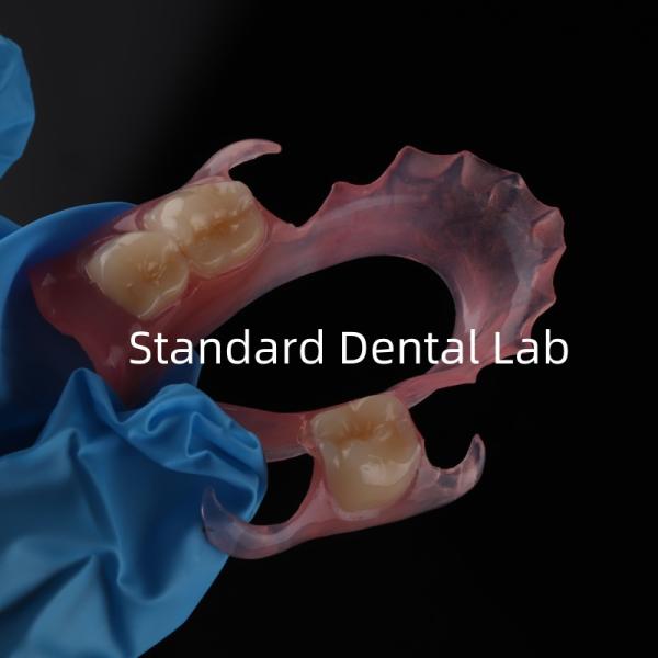 High Esthetics Dental TCS Valplast Flexible Partial Dentures Dental Lab pink shade