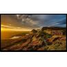 Buy cheap 30 Pin Edp TFT HD Display Anti Glare 11.6 Inch LCD 1920x1080 All Viewing Angle from wholesalers