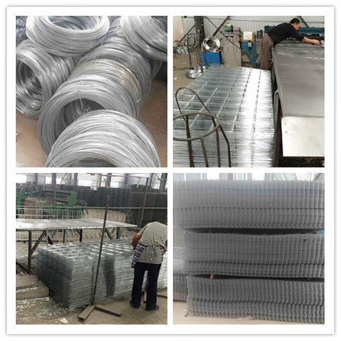 Square Open Welded Galvanized Wire Rhombus hole 2"x 4" Mesh Panel