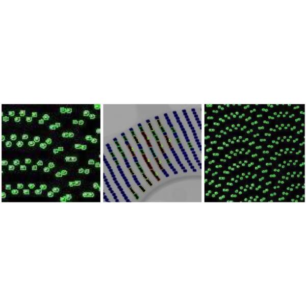 SMT SMD Electronic Component Reel Counter 99.99% Accuracy X-Ray Chip Counter