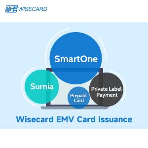 Wholesale Enhanced EMV Personalization Solution for Secure Payment Card Customization from china suppliers