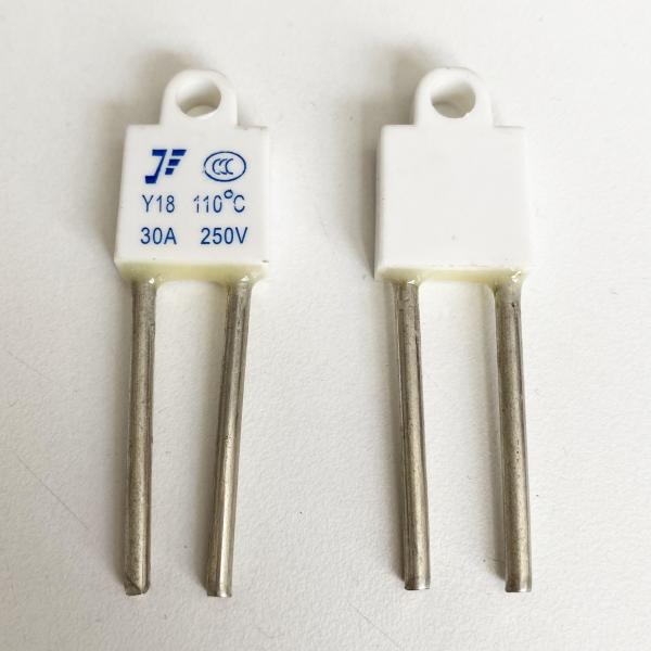 Square Type Squareness 20A 30A 40A Ceramic Temperature Fuse Thermal Fuse