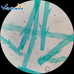 Wholesale Medical Science Biological Ready Made Microscope Slides Set 50pcs from china suppliers