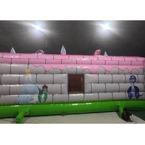 Pink Dragon Kids Inflatable Bounce House / Backyard Jump Houses For Children