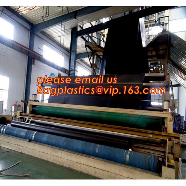 eco-friendly hdpe geomembrane liner geomembrane price,eco-friendly hdpe geomembrane liner waterproofing membranes BAGEAS